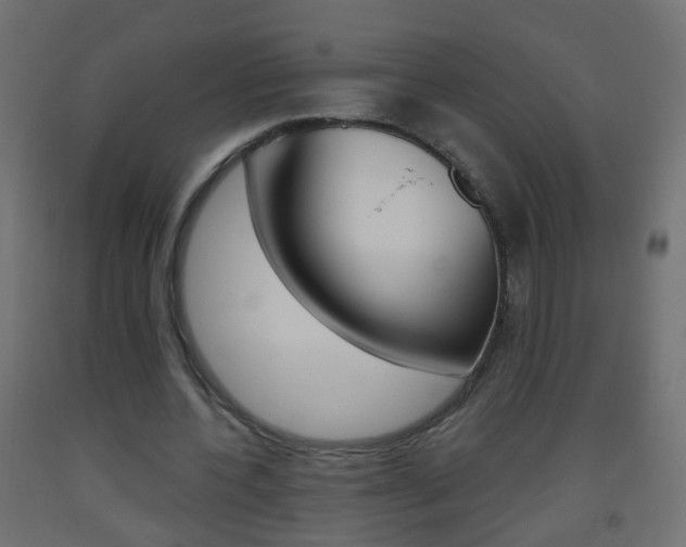X0000093560532200710150958