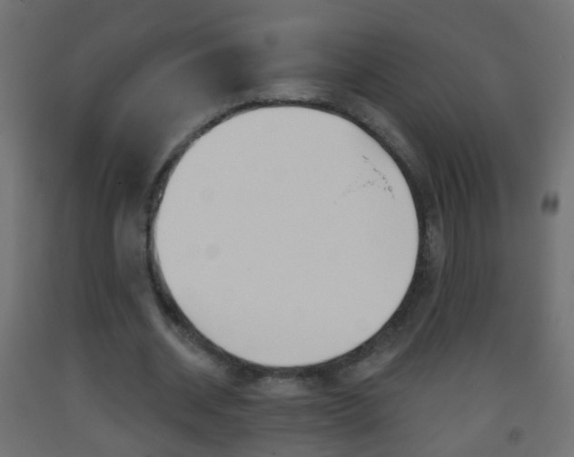 X0000093560534200710150958