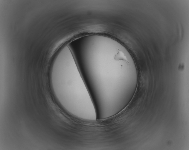 X0000093560535200710150958