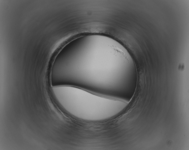 X0000093560536200710150958