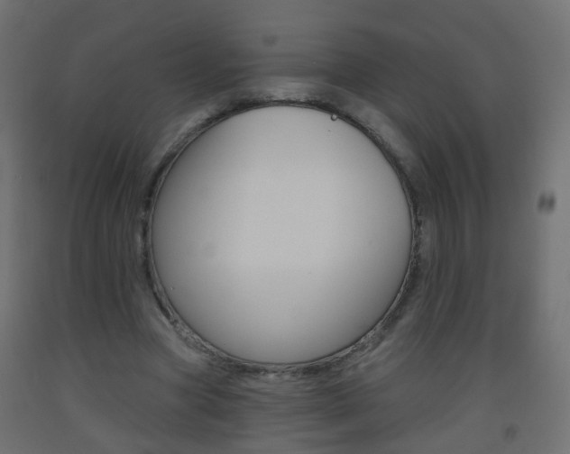 X0000093560537200710150958