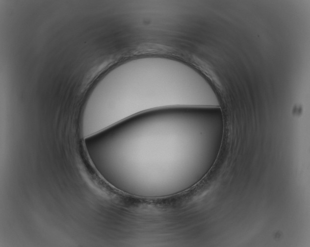 X0000093560538200710150958