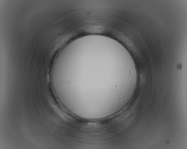X0000093560541200710150958
