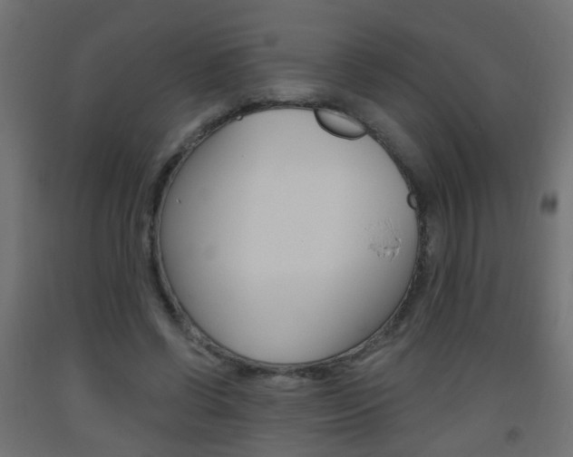 X0000093560542200710150958