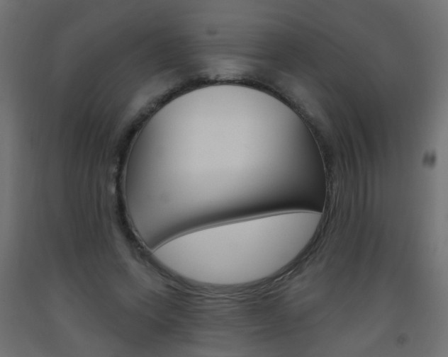 X0000093560543200710150958