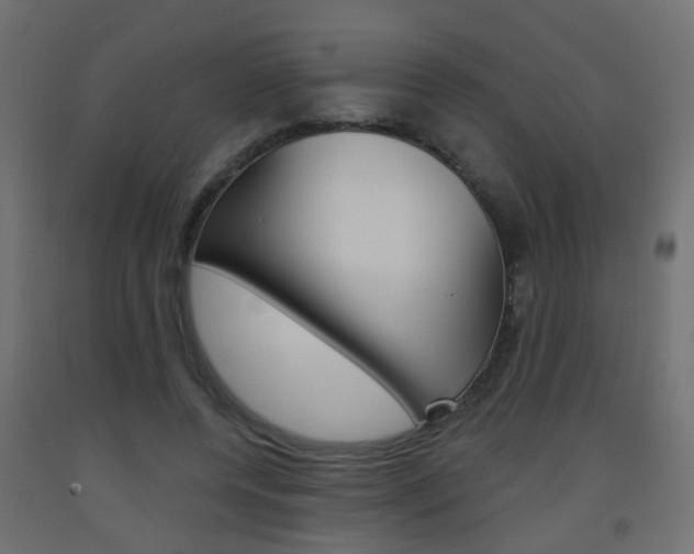 X0000093560544200710150958