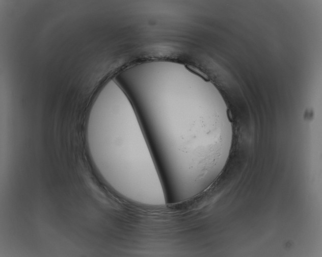 X0000093560546200710150958