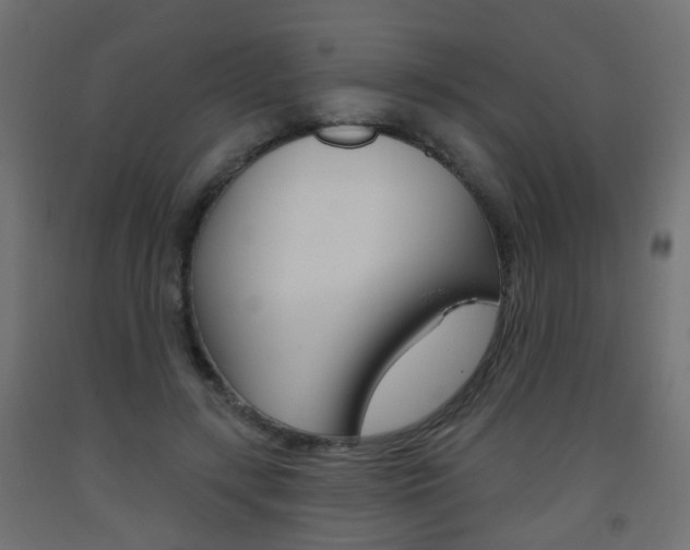 X0000093560547200710150958