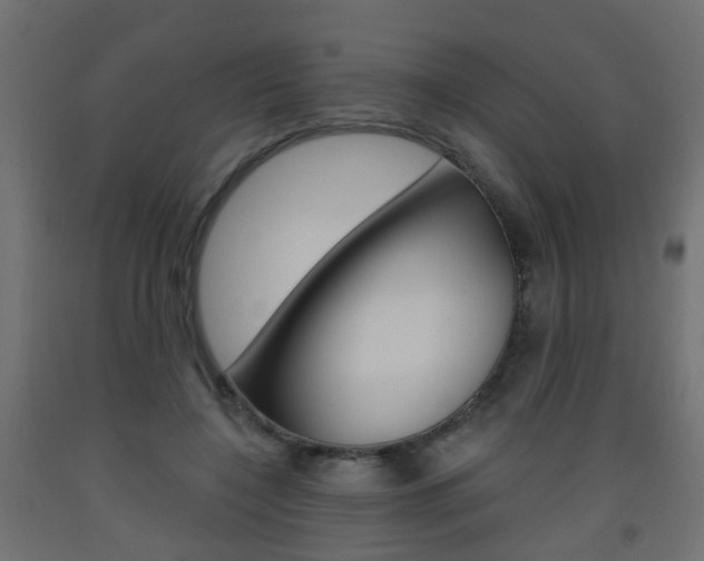 X0000093560548200710150958