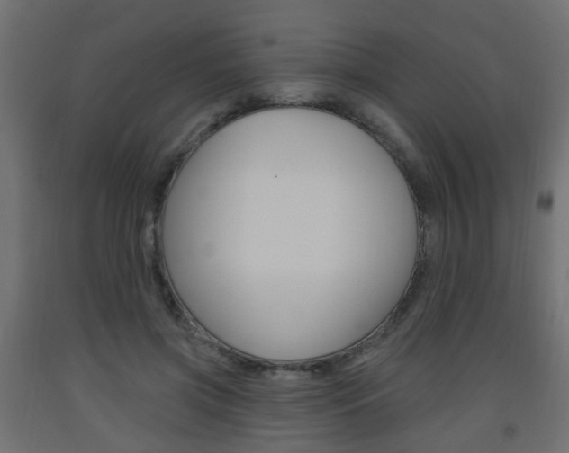X0000093560549200710150958