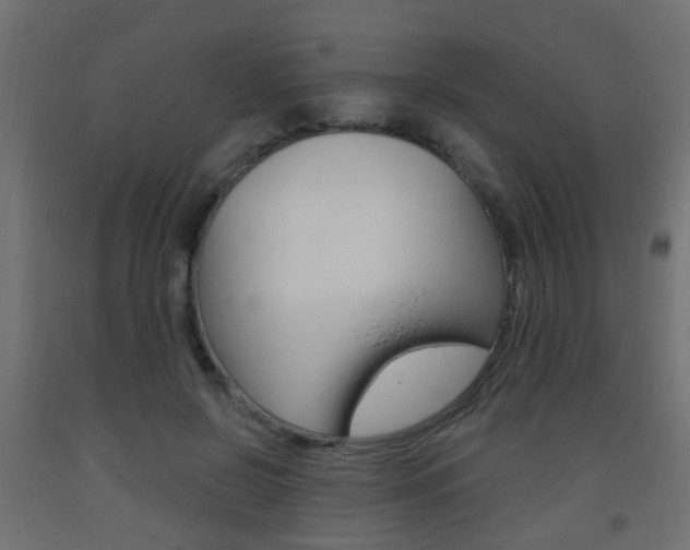 X0000093560550200710150958
