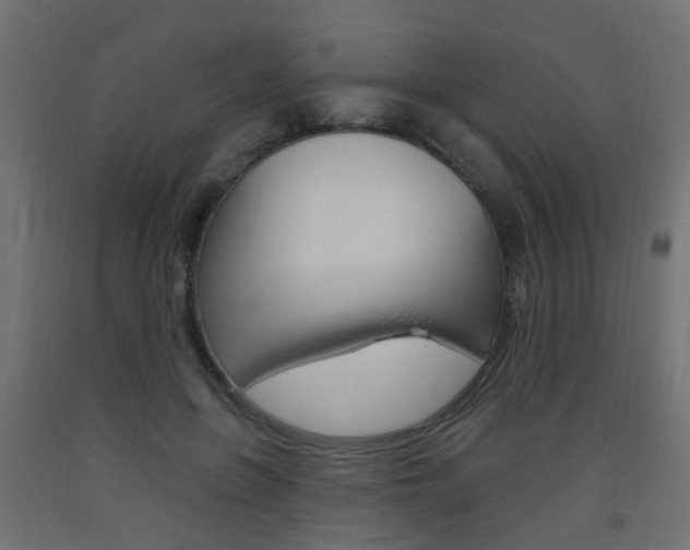 X0000093560551200710150958