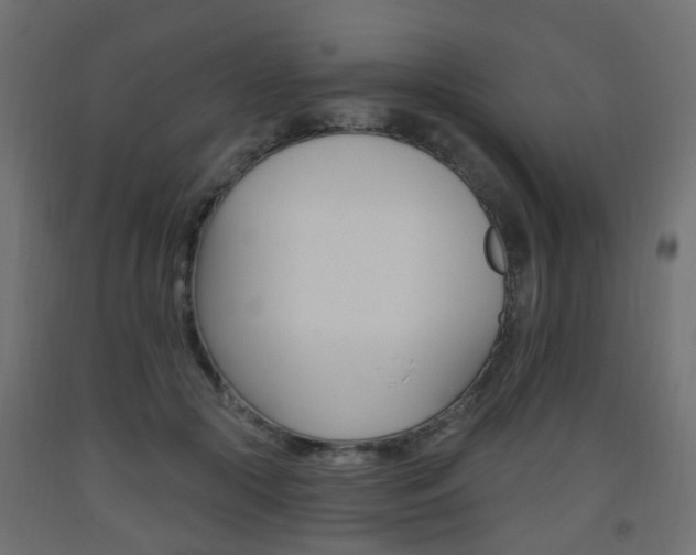 X0000093560553200710150958