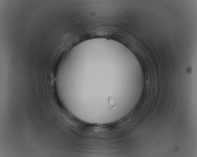 X0000093560555200710150958