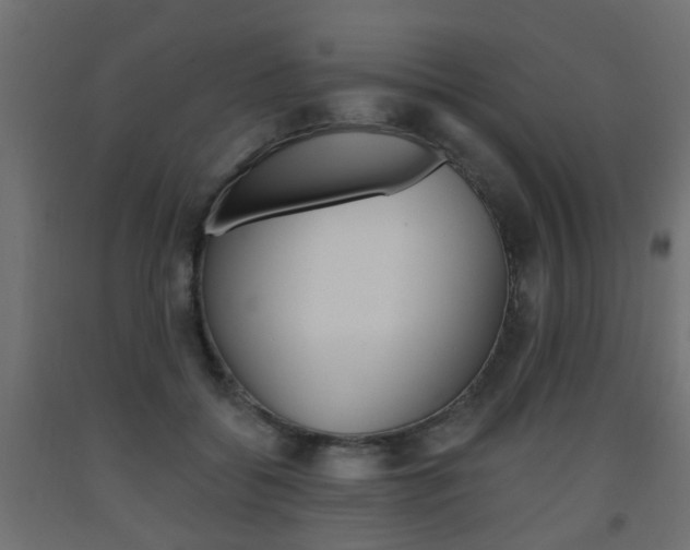 X0000093560556200710150958