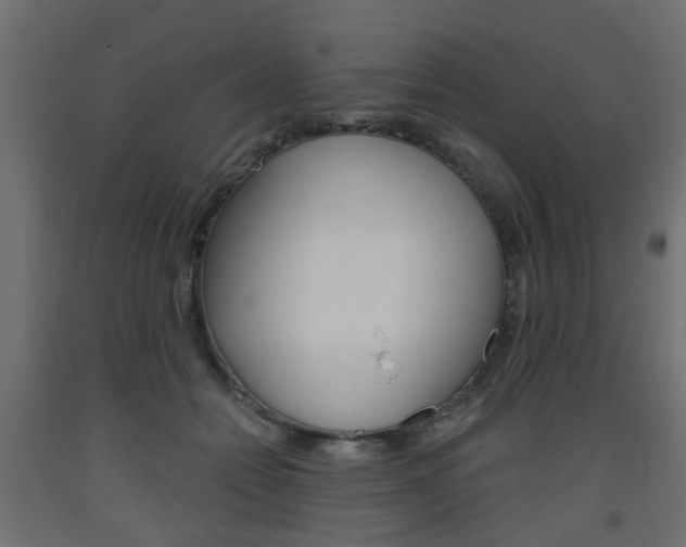 X0000093560558200710150958