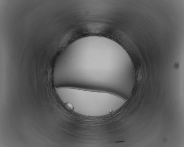 X0000093560559200710150958