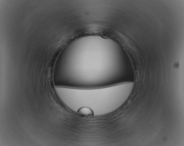 X0000093560560200710150958