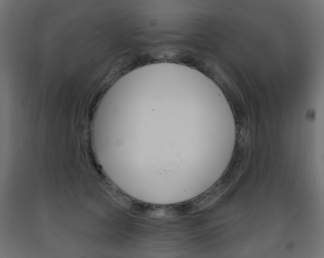 X0000093560561200710150958
