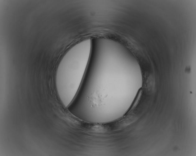 X0000093560562200710150958