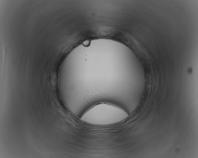 X0000093560563200710150958