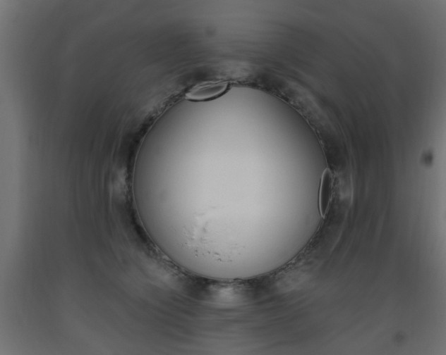 X0000093560564200710150958