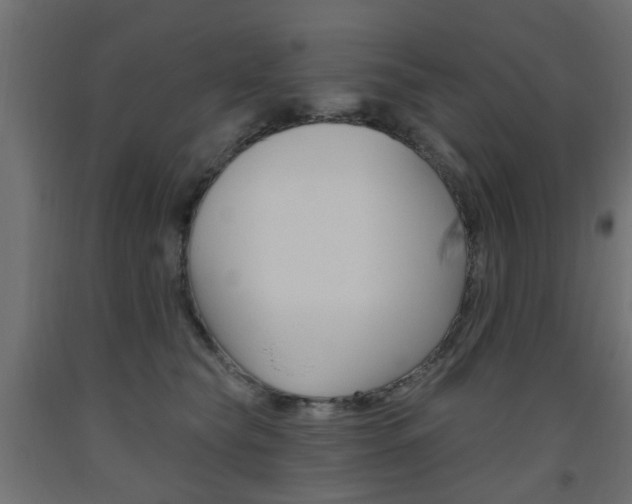 X0000093560565200710150958