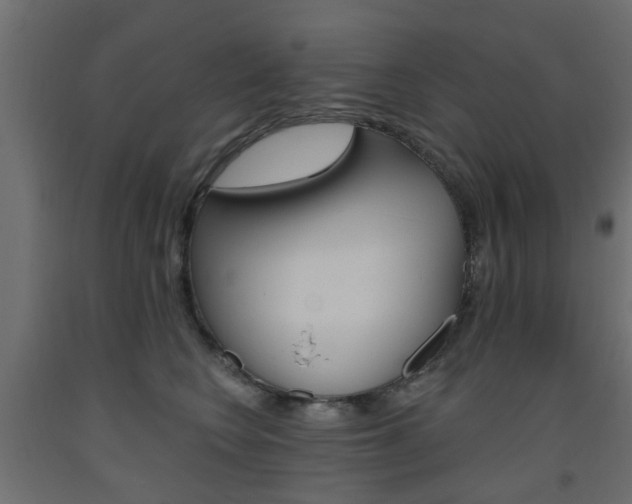 X0000093560566200710150958