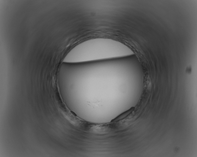 X0000093560568200710150959