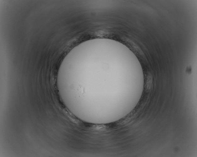 X0000093560569200710150959
