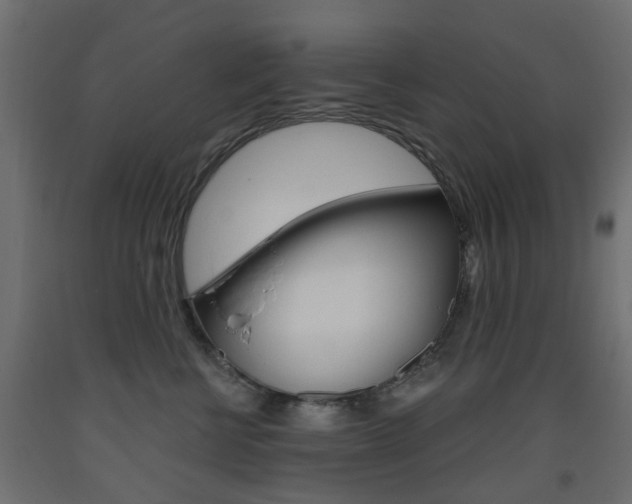 X0000093560570200710150959