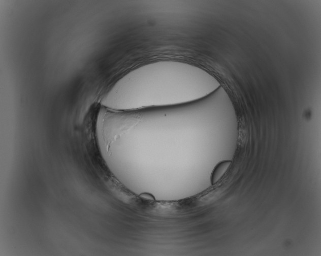 X0000093560573200710150959
