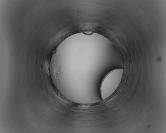 X0000093560575200710150959