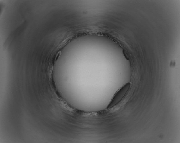 X0000093560576200710150959