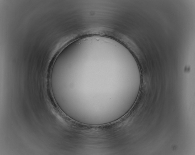 X0000093560578200710150958