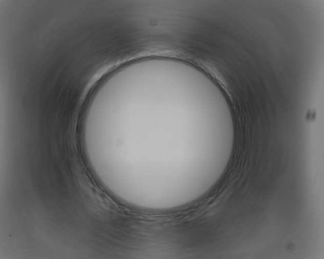 X0000093560579200710150958
