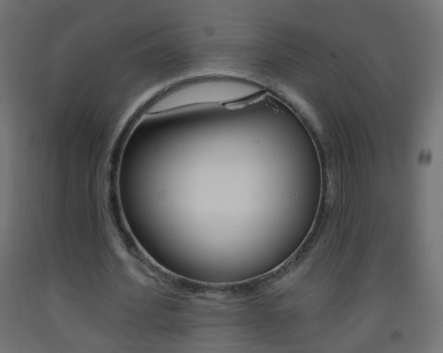 X0000093560580200710150958