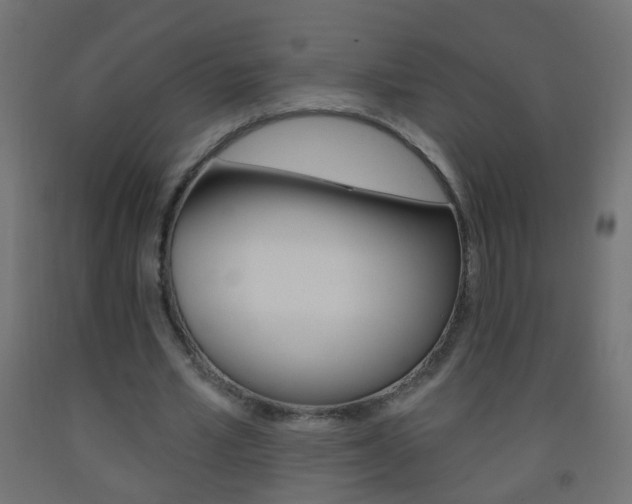 X0000093560581200710150958