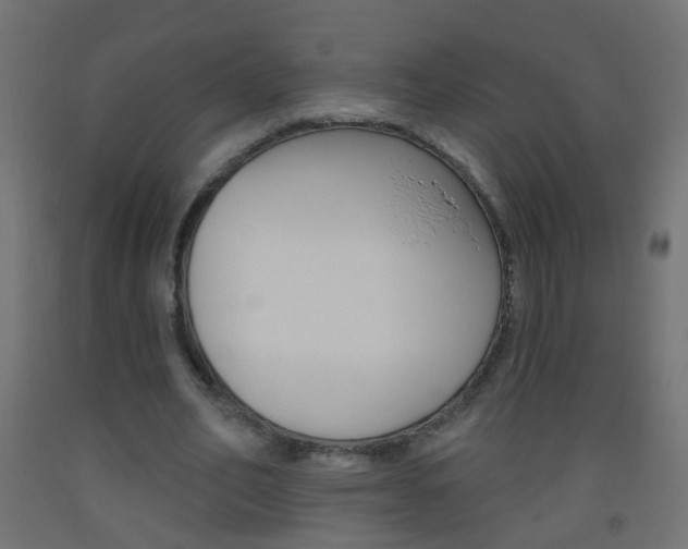 X0000093560582200710150958
