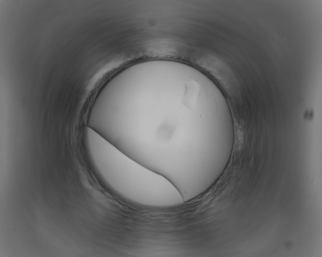 X0000093560583200710150958