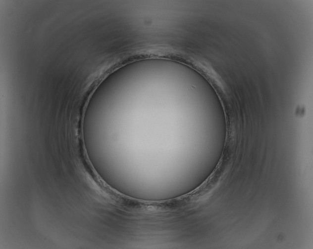 X0000093560585200710150958