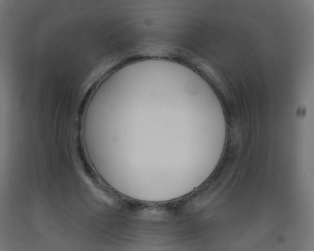 X0000093560586200710150958
