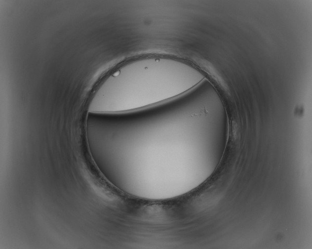 X0000093560588200710150958