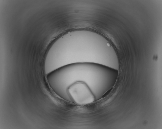 X0000093560589200710150958