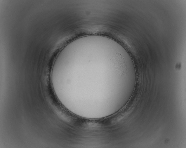 X0000093560590200710150958