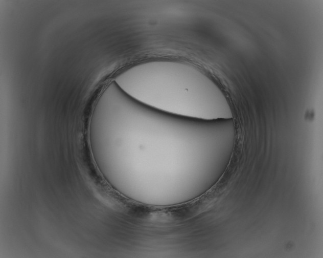 X0000093560591200710150958