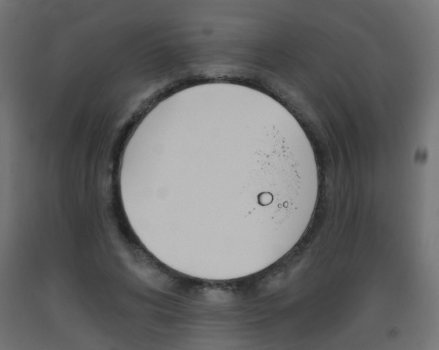 X0000093560592200710150958