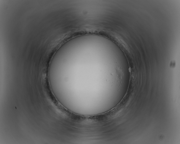 X0000093560593200710150958