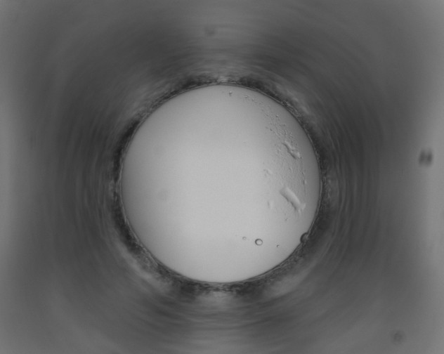 X0000093560594200710150958