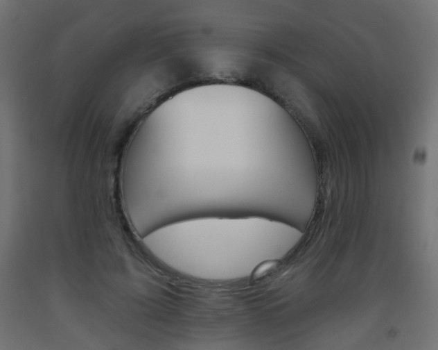 X0000093560595200710150958